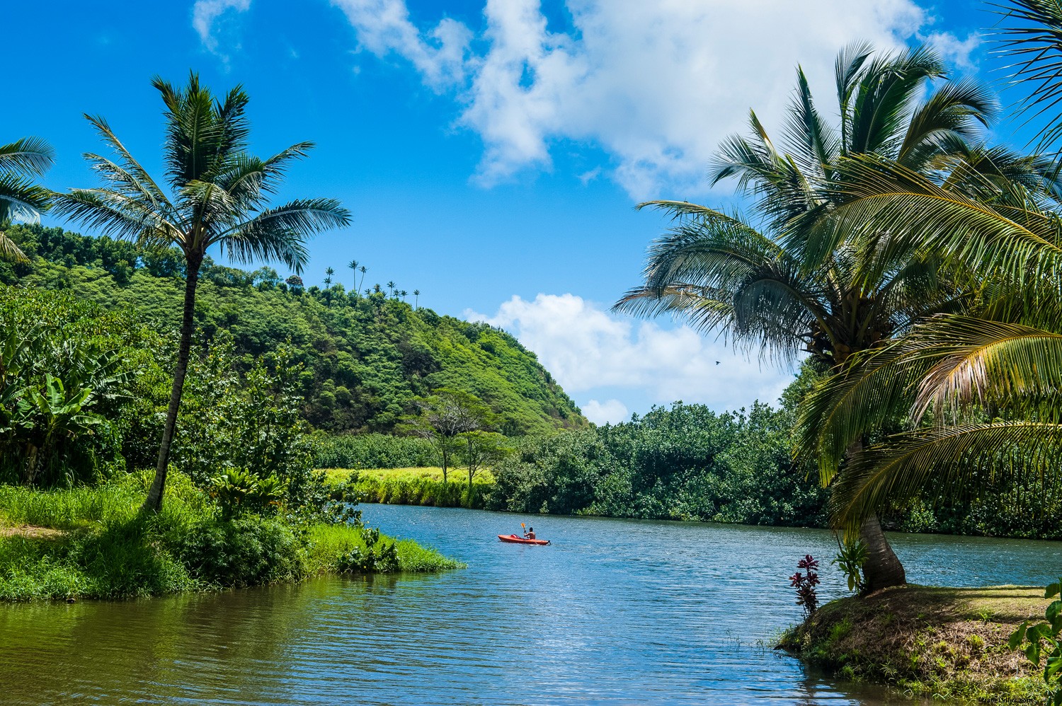 Hawaii:Trovare la giusta fetta di paradiso per la tua personalità 
